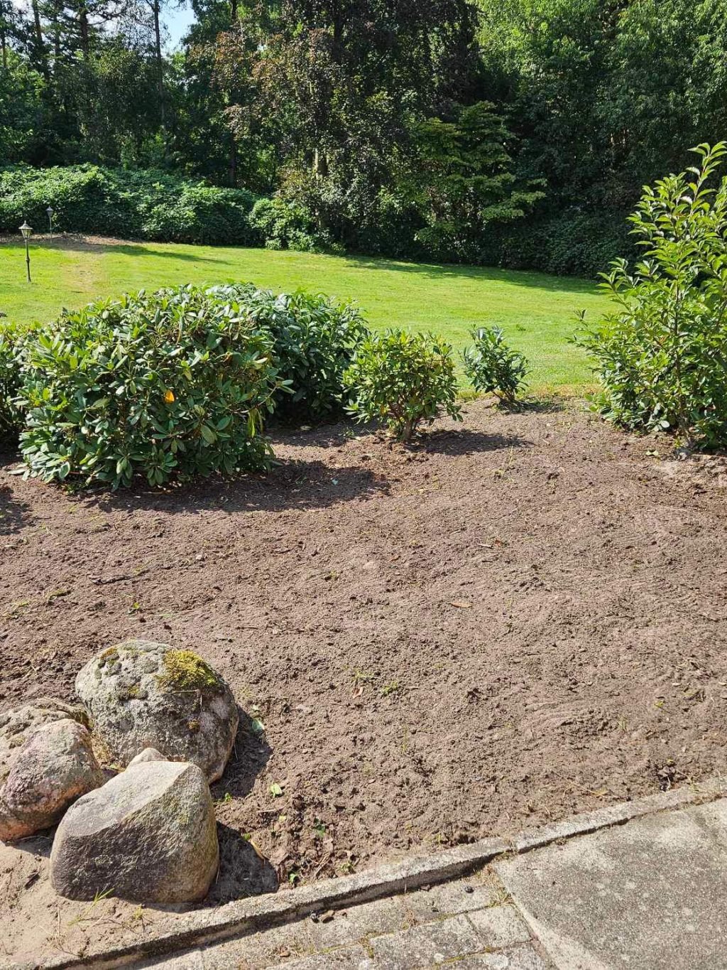 Facebook_creation_395803231