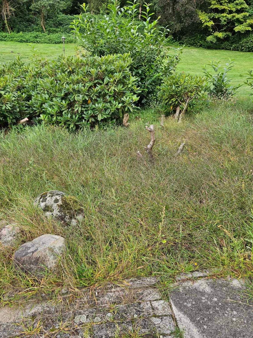 Facebook_creation_395851295